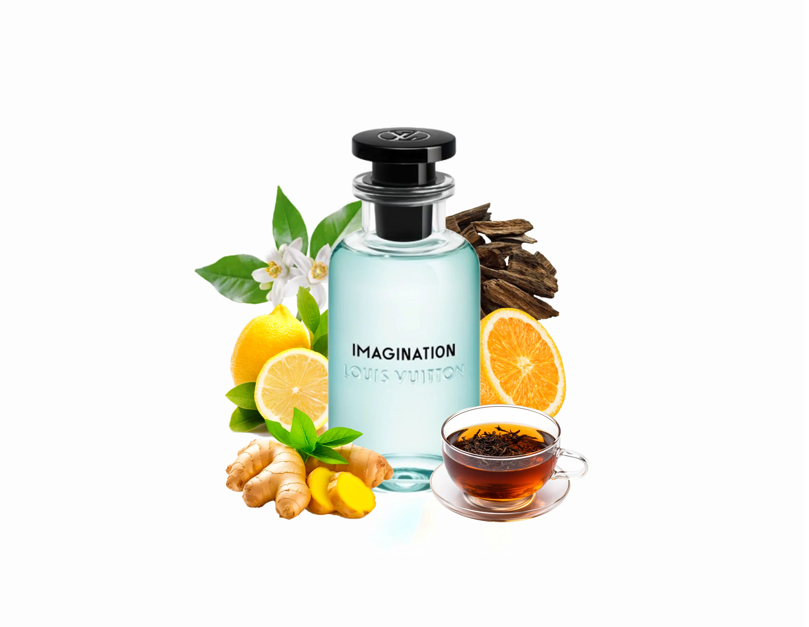LOUIS VUITTON Imagination