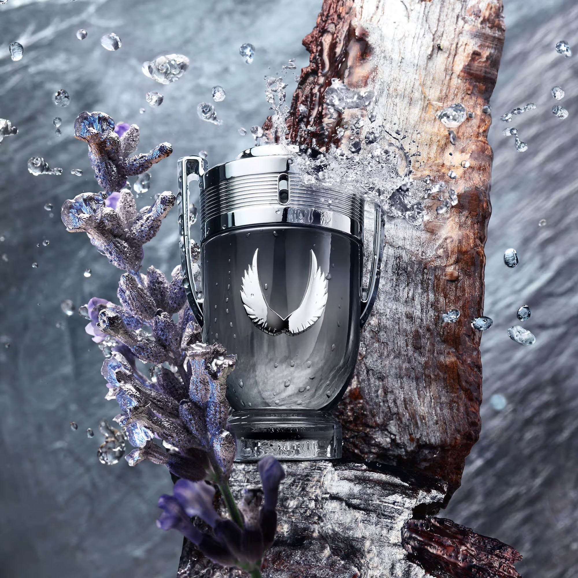 PACO RABANNE Invictus Platinum