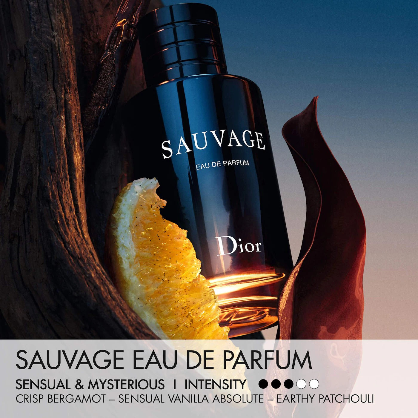 DIOR Sauvage Eau de Parfum